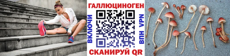 Псилоцибиновые грибы Magic Shrooms  Купить где  Кочубеевское 